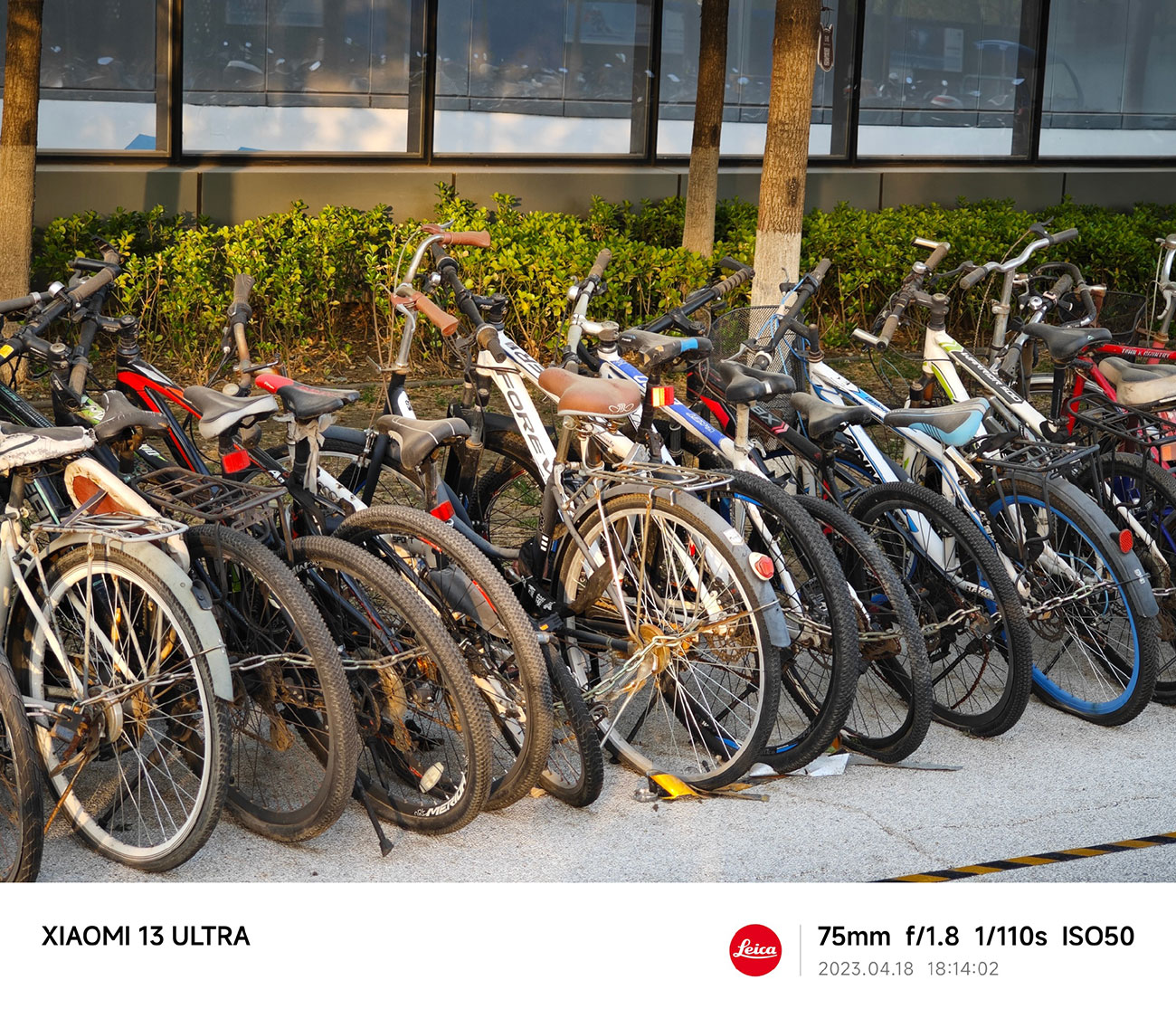 Примеры фото на камеру Xiaomi 13 Ultra